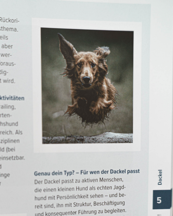 Genau mein Typ-26
