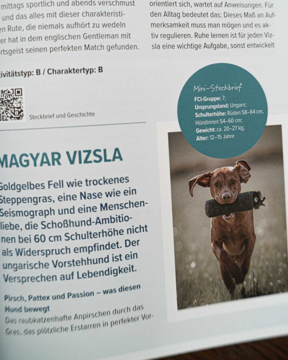 Genau mein Typ-31